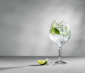 Ginpaket med Swedish Tonic Christmas spice