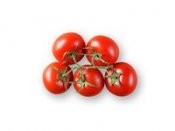 Frökapslar TREGREN Tomat Large