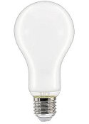 LED-lampa Normal E27 10W(75W) 2700K