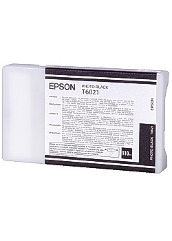 Bläckpatron EPSON  C13T602100 fotosvart