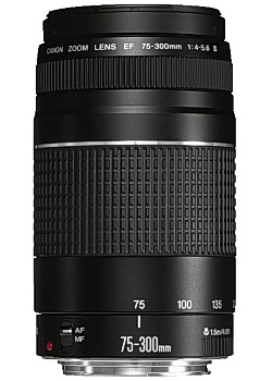 Objektiv CANON EF 75-300mm 4-5.6 USM III