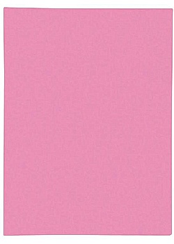 Mapp EXACOMPTA 1 klaff 160g rosa (100)
