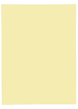 Mapp EXACOMPTA 1 klaff 160g gul (100)