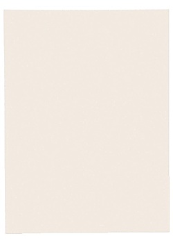 Mapp EXACOMPTA 1 klaff 160g natur (100)