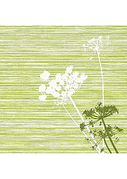 Servett DUNILIN 40x40cm Green (50)