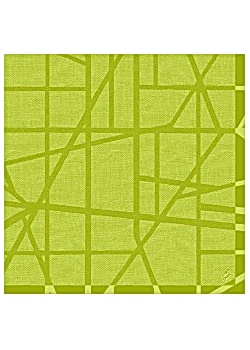 Servett DUNILIN 40x40cm Maze Kiwi (50)