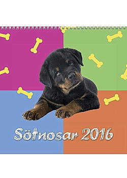 Väggkalender Sötnosar-1784