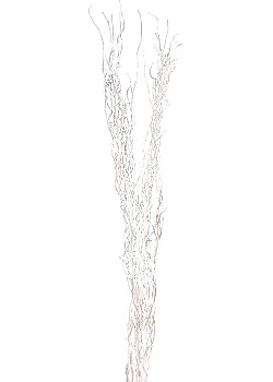 Julbelysning Träkvistar 150cm Vit