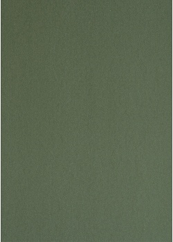 Presentpapper 57cmx154m Mossgrön, matt