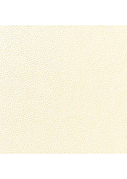 Servett DUNI 1-lags 33x33cm Creme (500)