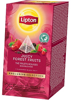 Te LIPTON Trendy T Forest Fruits (25)