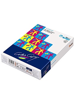 Kop.ppr COLOR COPY A4 100g oh (500)