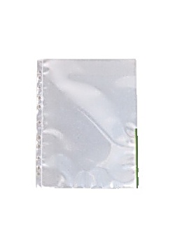 Plastf.signal ESSELTE A4 0,11mmgrön(100)
