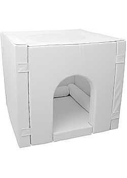 Igloo