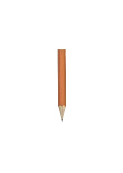 Blyertspenna polerad HB (12)
