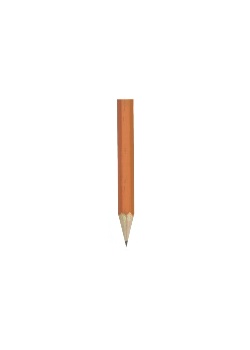 Blyertspenna polerad H (12)