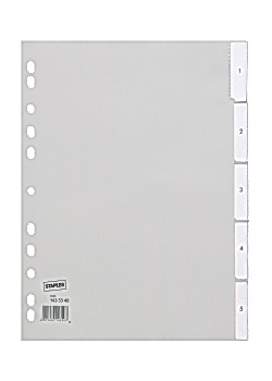 Plastregister STAPLES instick A4 20-flik