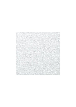 Kartongomslag Regency A4 Vit (100)
