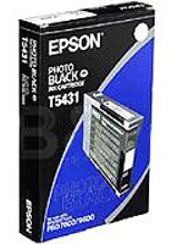 Bläckpatron EPSON 106R00698 fotosvart
