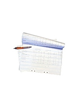 Datapapper 310mmx8,5 1ex h 70g (2500)