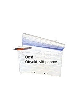 Datapapper otryckt 310x8" hålat (2500)