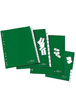 Plastregister DURABLE instick A4 12-flik