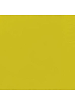 Servett 3-lags 40x40cm kiwi (125)