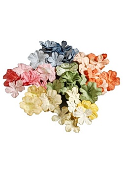 Pappersblommor (500)
