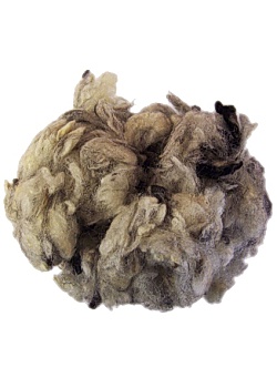 Okardad ull 250g, lockhårig