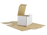 Boxon Wellåda ES28 200x140x95mm VIT