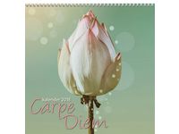 Carpe Diem - 1721