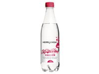 Vatten HERRLJUNGA hallon 50cl