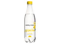 Vatten HERRLJUNGA citron 50cl