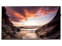 Display SAMSUNG PM49F 49"