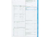 Barnhälsovårdsjournal 1 pojke