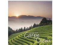Carpe Diem -1721