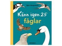 Bok Känn igen 25 fåglar