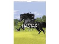 Väggkalender Häst - 1776