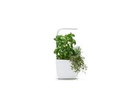 Kitchen Garden TREGREN T3 Vit