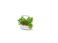 Kitchen Garden TREGREN T6 Vit