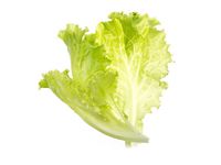 Frökapslar TREGREN Sallad 2/FP