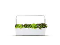 Kitchen Garden TREGREN T12 Vit