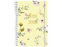 Study 20-21 A5 4i1