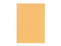 Mapp EXACOMPTA utan klaff A4 beige