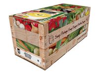 Soppa KNORR Indisk Curry 2,4L