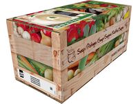Soppa KNORR Champinjon 2,4L