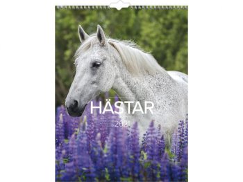 Väggkalender Häst - 1776