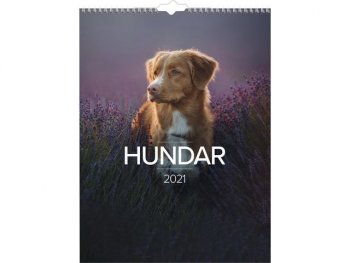Väggkalender Hund - 1777